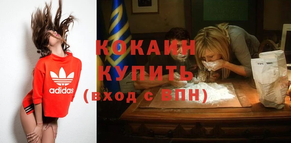 твердый Семилуки