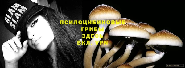 тгк Володарск
