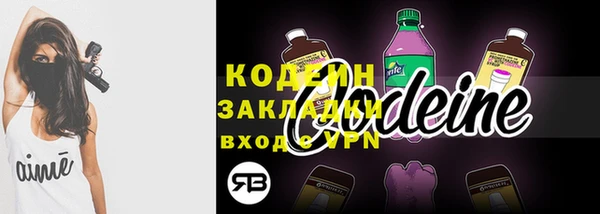 гидра Богородск