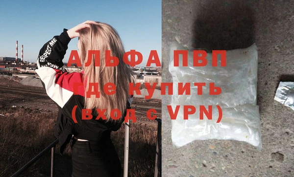 PSILOCYBIN Верхний Тагил