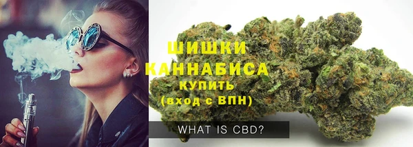 крисы Сатка
