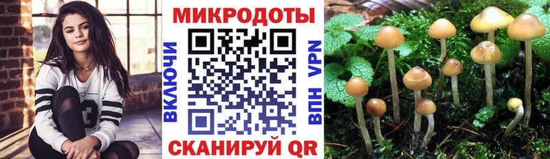 Псилоцибиновые грибы мухоморы  Задонск 